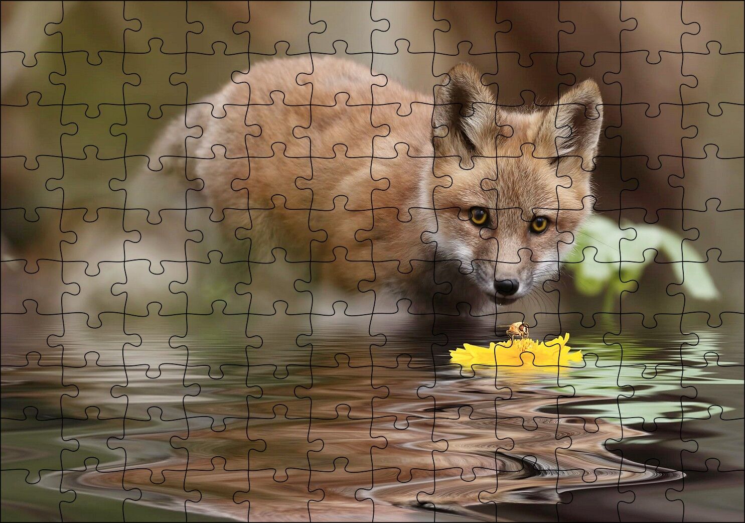 Göldeki Sarı Çiçeği İzleyen Yavru Tilki Puzzle Yapboz MDF Ahşap
