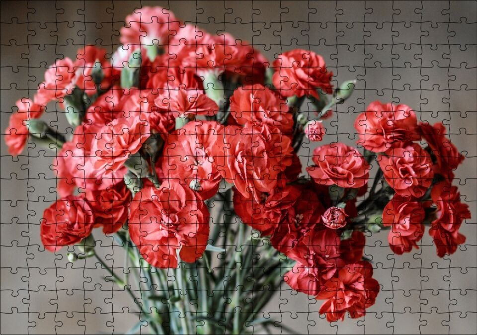 Bir Demet Kırmızı Yabani Karanfil Puzzle Yapboz MDF Ahşap 255 Parça 34 cm X 49 cm