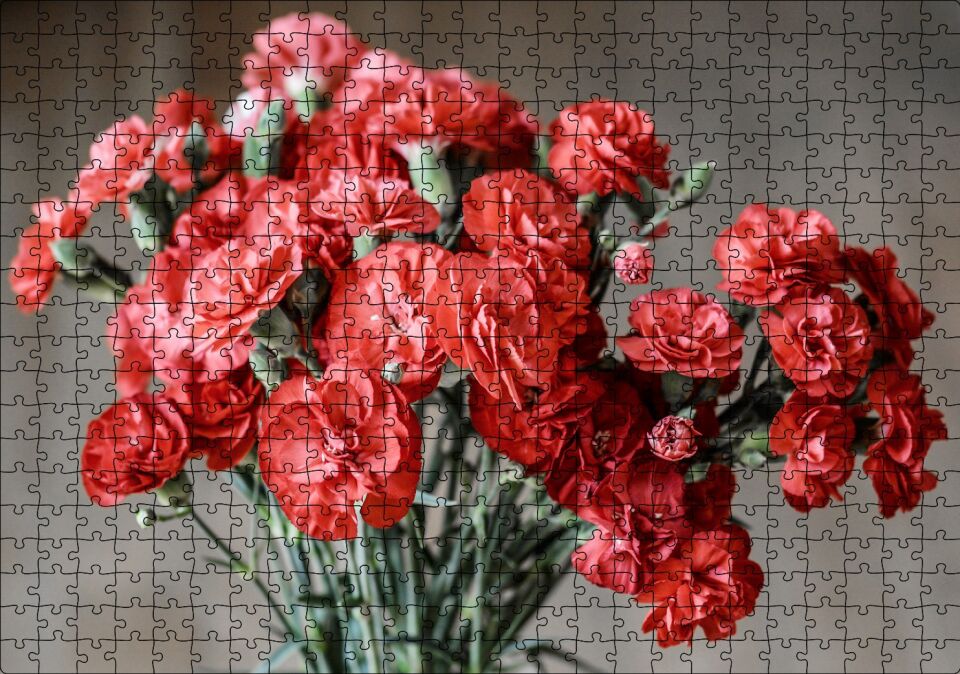 Bir Demet Kırmızı Yabani Karanfil Puzzle Yapboz MDF Ahşap 500 Parça 49 cm X 68 cm