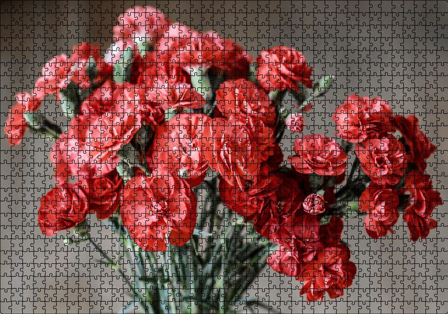 Bir Demet Kırmızı Yabani Karanfil Puzzle Yapboz MDF Ahşap 1000 Parça 49 cm X 68 cm