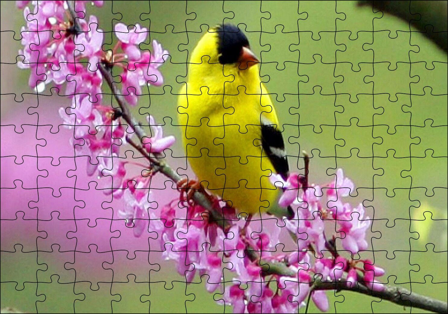 Pembe Çiçekli Dalda Sarı Siyah Kuş Puzzle Yapboz MDF Ahşap