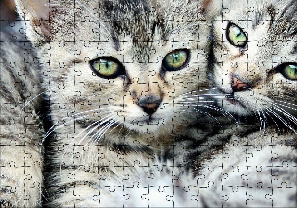 Tekir Yavru Kediler Puzzle Yapboz MDF Ahşap 120 Parça 24 cm X 34 cm