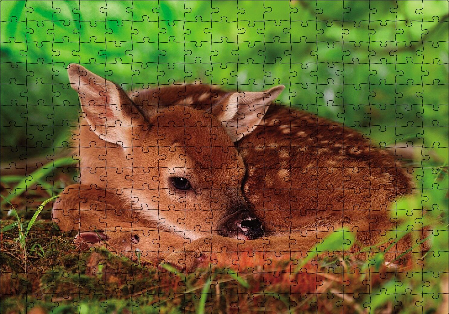 Ceylan Yavru Puzzle Yapboz MDF Ahşap 255 Parça 34 cm X 49 cm