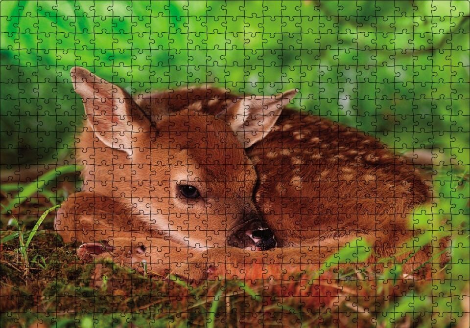 Ceylan Yavru Puzzle Yapboz MDF Ahşap 500 Parça 49 cm X 68 cm