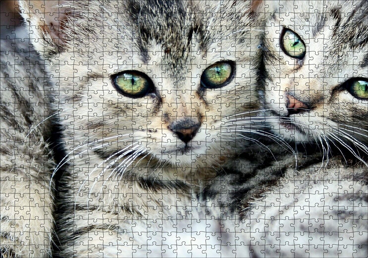 Tekir Yavru Kediler Puzzle Yapboz MDF Ahşap 500 Parça 49 cm X 68 cm