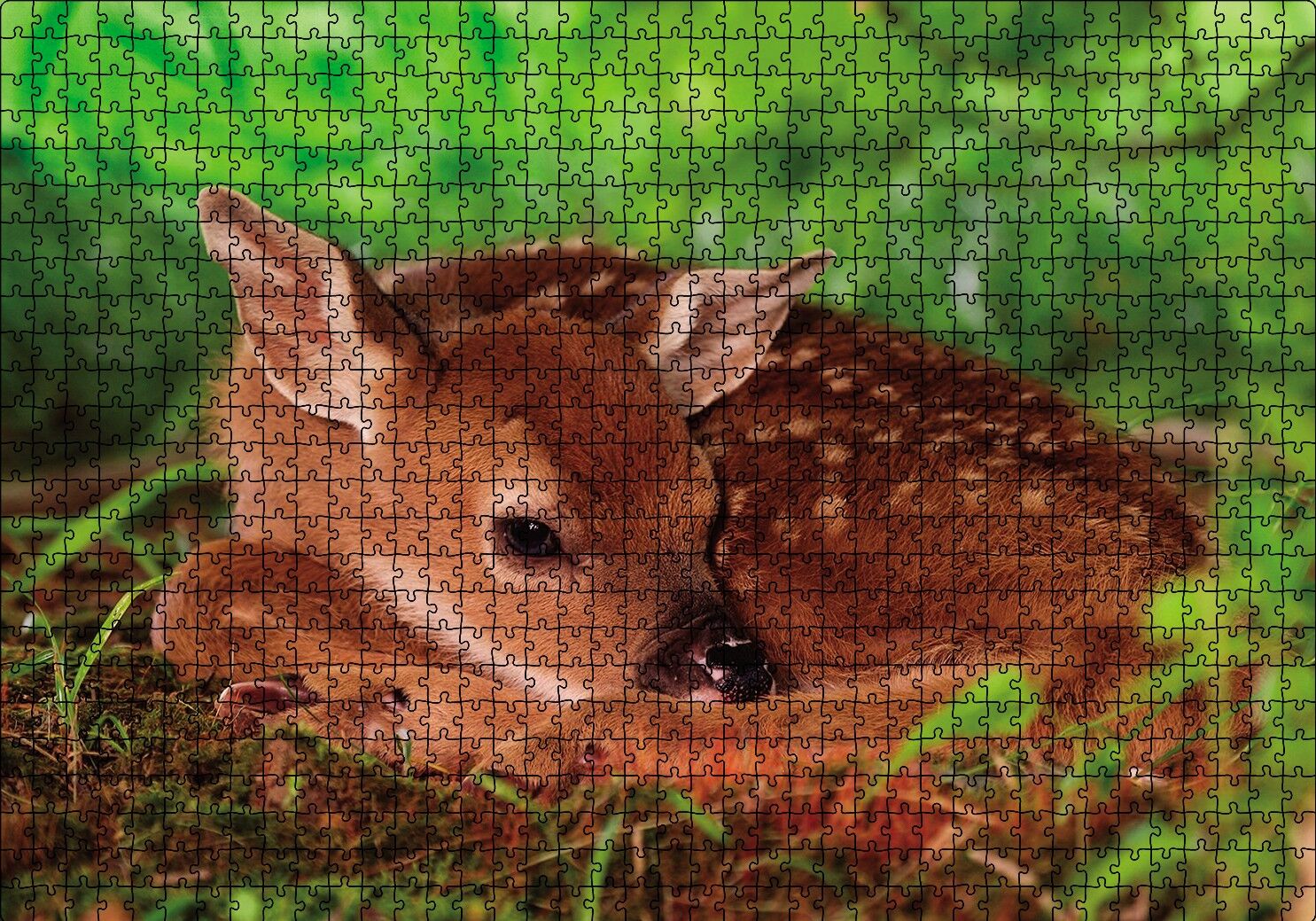 Ceylan Yavru Puzzle Yapboz MDF Ahşap 1000 Parça 49 cm X 68 cm