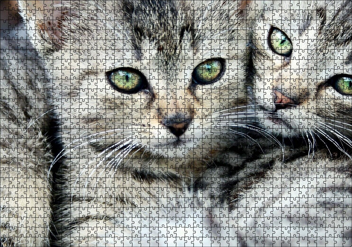 Tekir Yavru Kediler Puzzle Yapboz MDF Ahşap 1000 Parça 49 cm X 68 cm
