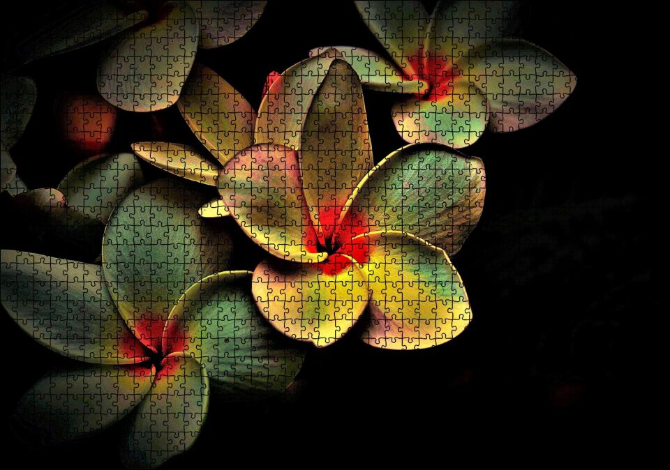 Bitkinin Dev Yaprakları Karanlık Arka Plan Puzzle Yapboz MDF Ahşap 1000 Parça 49 cm X 68 cm