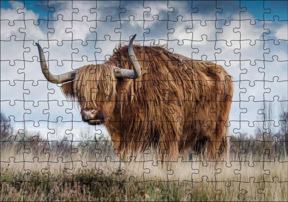 Bozkırda Kahverengi Yak Öküzü ve Bulutlar Puzzle Yapboz MDF Ahşap 120 Parça 24 cm X 34 cm