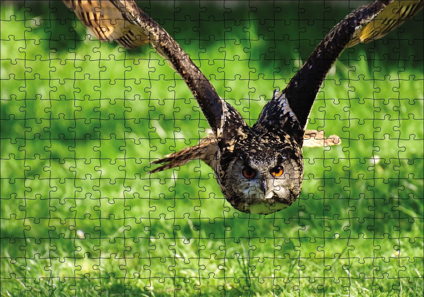 Doğada Üçan Baykuş Puzzle Yapboz MDF Ahşap 255 Parça 34 cm X 49 cm