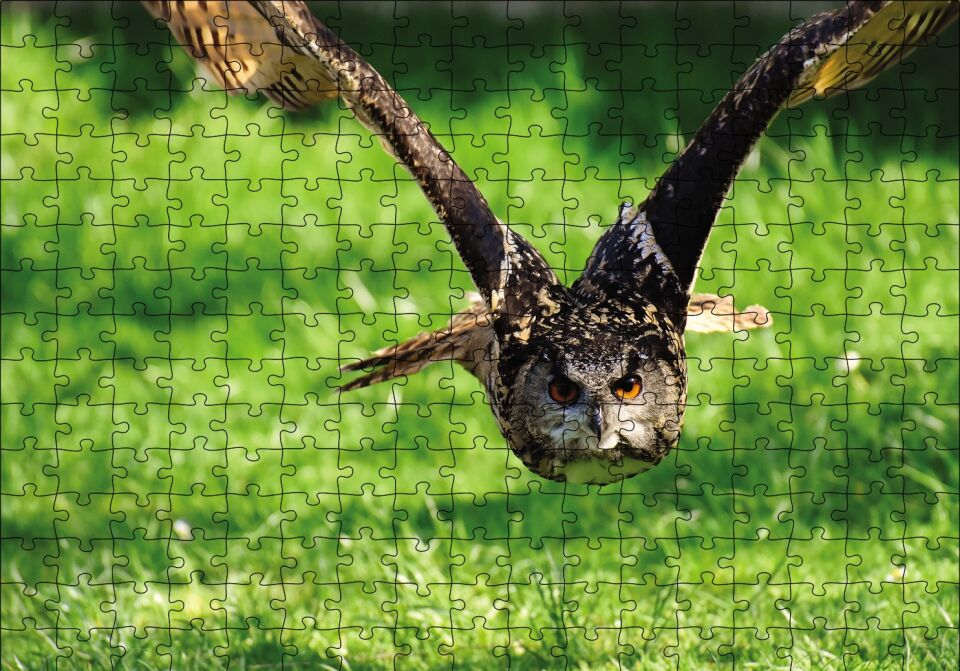 Doğada Üçan Baykuş Puzzle Yapboz MDF Ahşap 255 Parça 34 cm X 49 cm