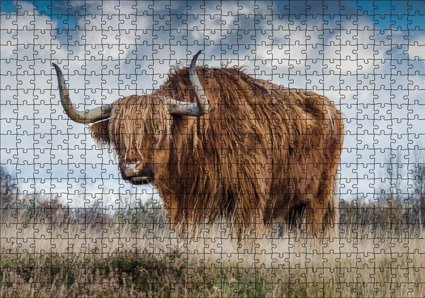 Bozkırda Kahverengi Yak Öküzü ve Bulutlar Puzzle Yapboz MDF Ahşap 500 Parça 49 cm X 68 cm