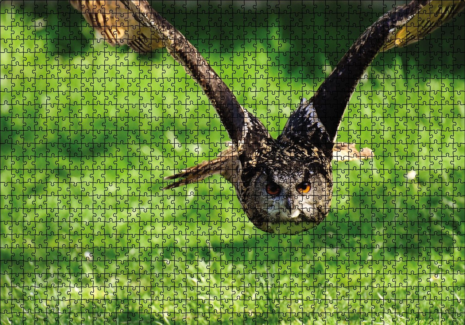 Doğada Üçan Baykuş Puzzle Yapboz MDF Ahşap 1000 Parça 49 cm X 68 cm