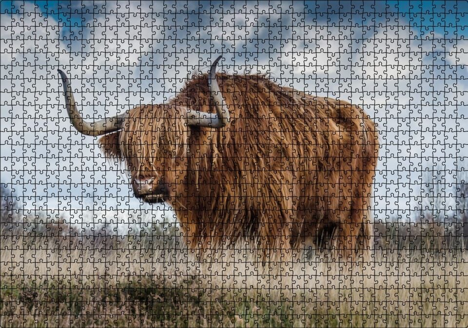 Bozkırda Kahverengi Yak Öküzü ve Bulutlar Puzzle Yapboz MDF Ahşap 1000 Parça 49 cm X 68 cm