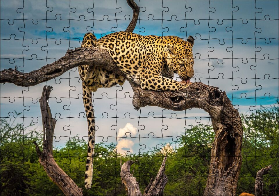 Kuru Dal Üzerinde Yalanan Leopar Görseli Puzzle Yapboz MDF Ahşap 120 Parça 24 cm X 34 cm