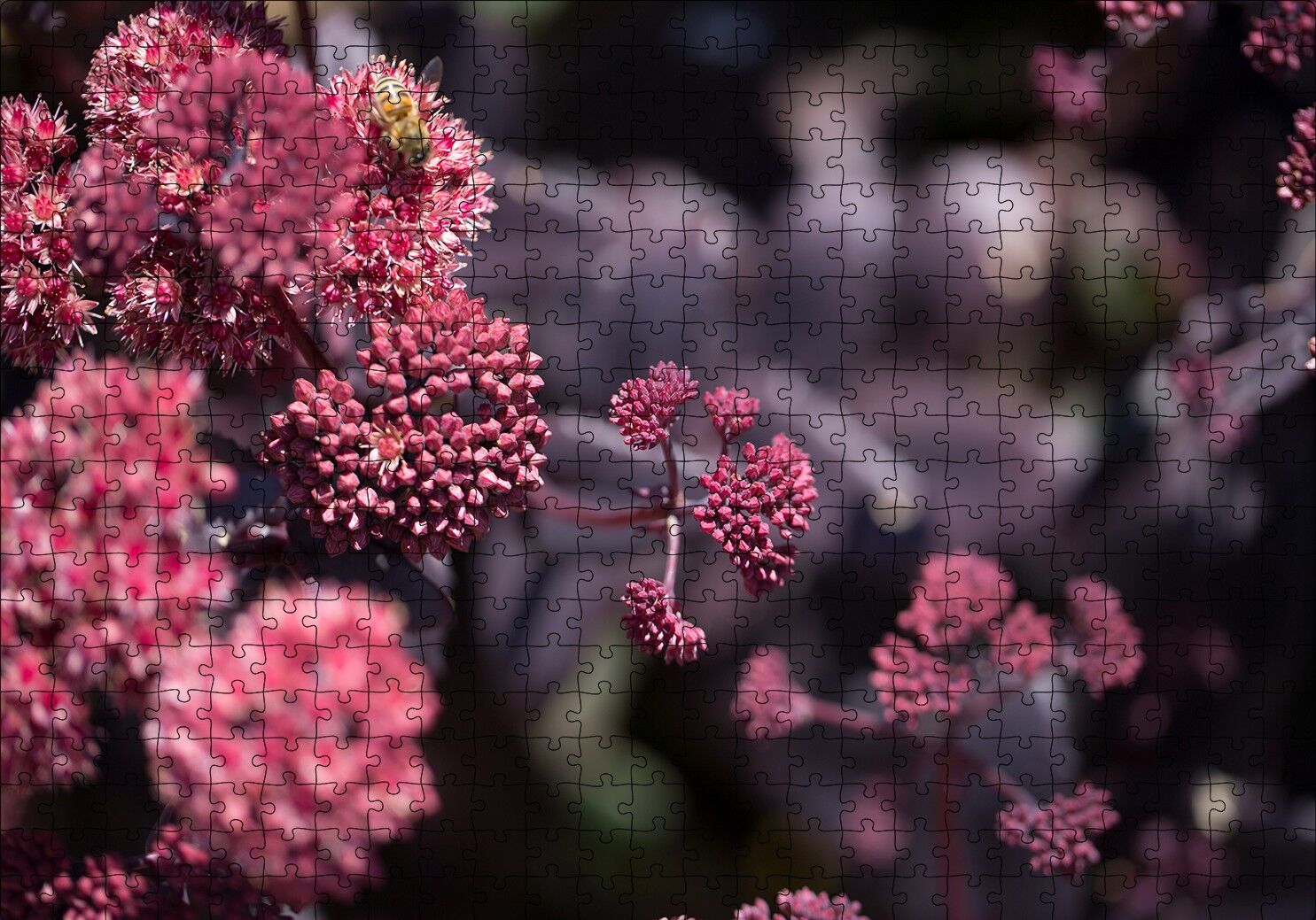 Pembe Tomurcuklu Çiçekler Puzzle Yapboz MDF Ahşap 500 Parça 49 cm X 68 cm
