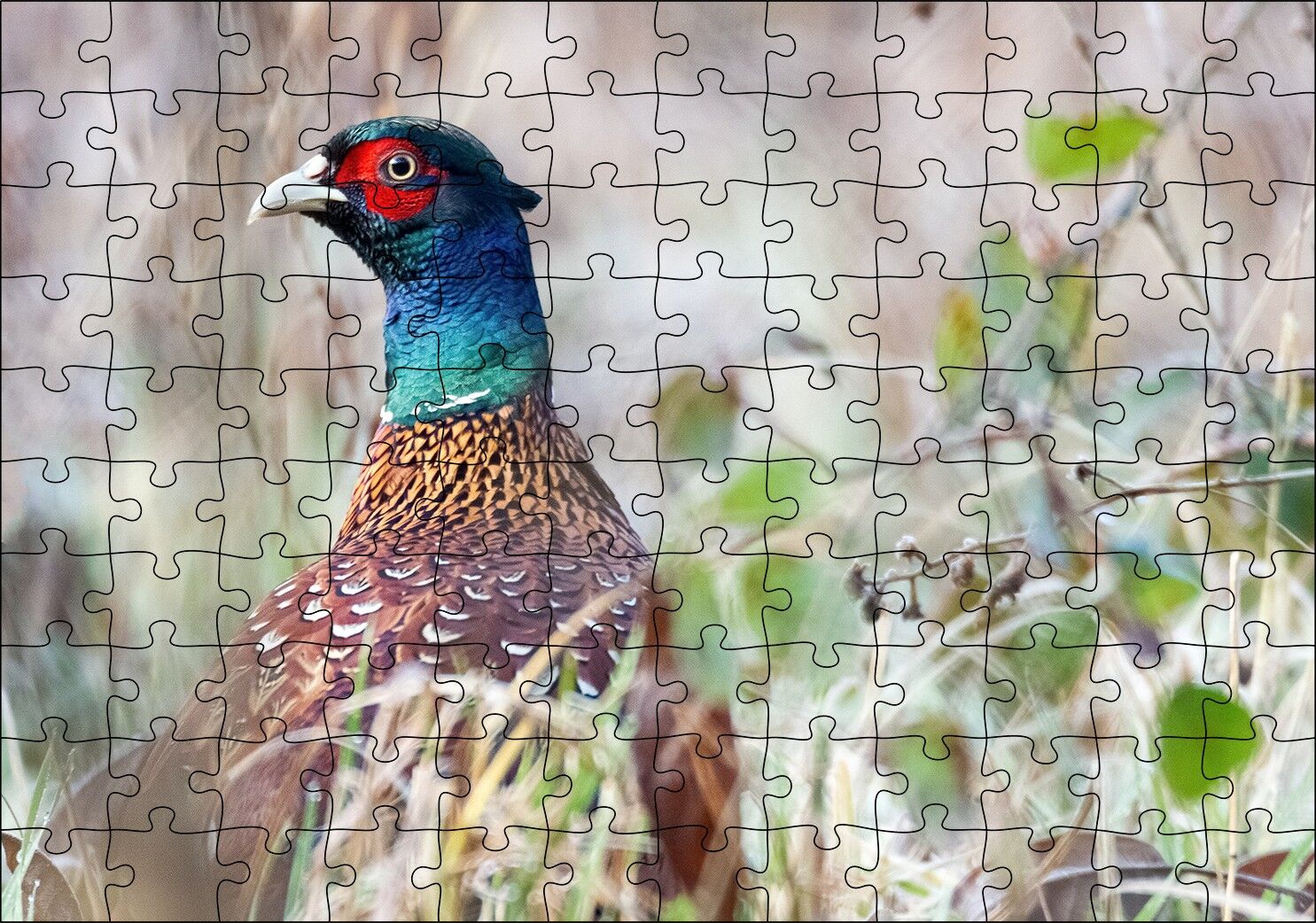 Çalılıklar Arasındaki Sülün Puzzle Yapboz MDF Ahşap 120 Parça 24 cm X 34 cm