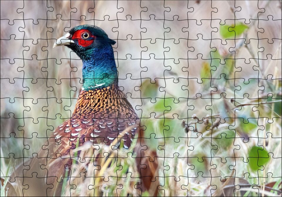 Çalılıklar Arasındaki Sülün Puzzle Yapboz MDF Ahşap 120 Parça 24 cm X 34 cm