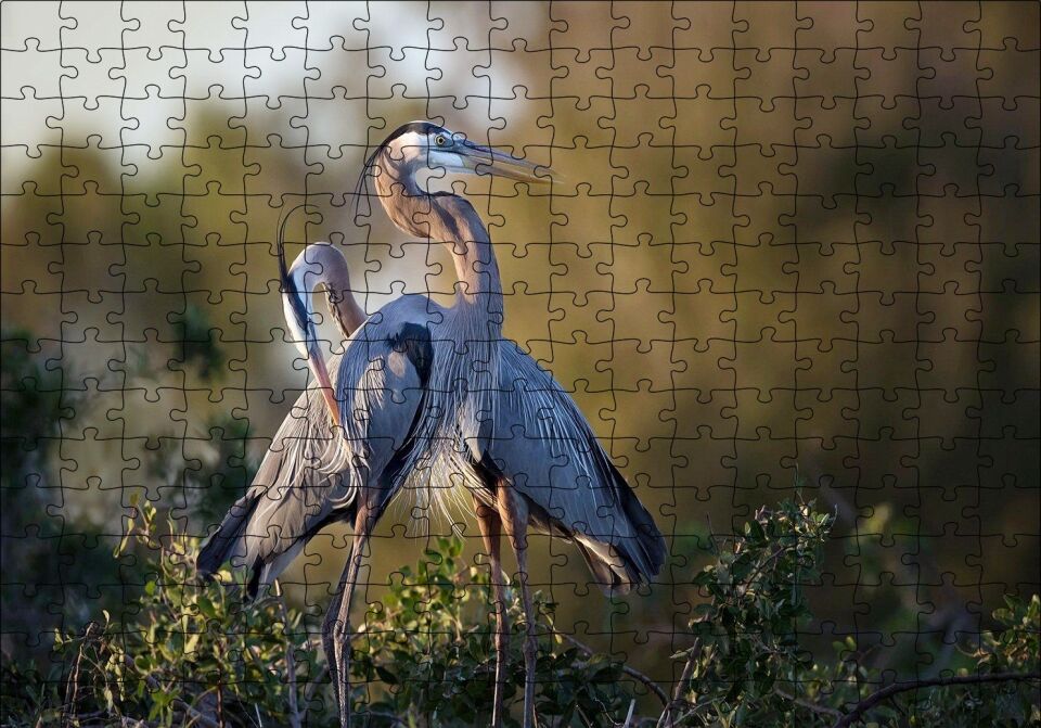 Günbatımında Balıkçıl Çift Puzzle Yapboz MDF Ahşap 255 Parça 34 cm X 49 cm