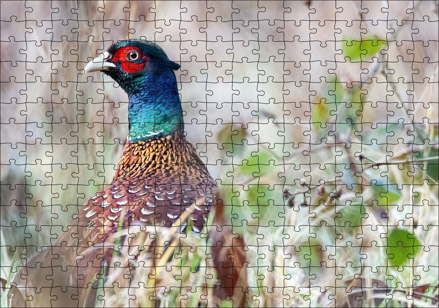Çalılıklar Arasındaki Sülün Puzzle Yapboz MDF Ahşap 255 Parça 34 cm X 49 cm