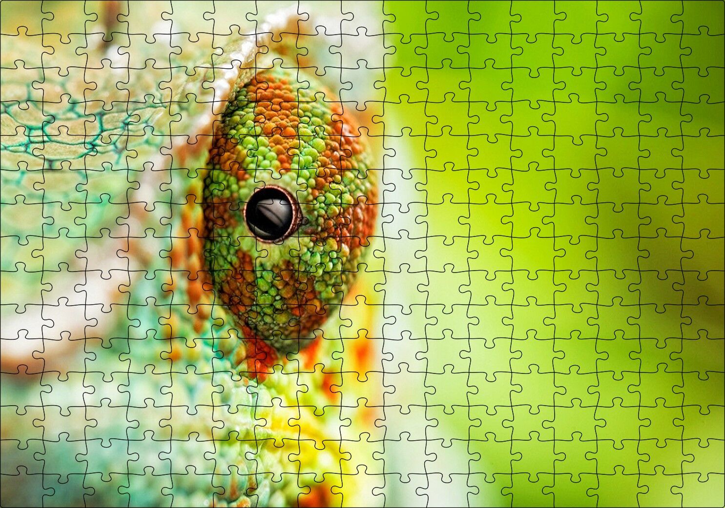 Bukalemun Gözü Yakın Çekim Flu Arka Plan Puzzle Yapboz MDF Ahşap 255 Parça 34 cm X 49 cm