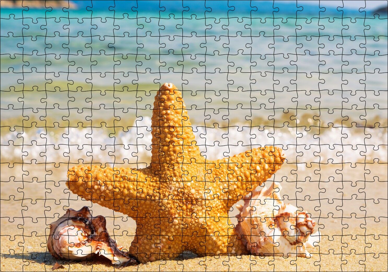 Deniz Yıldızı Deniz Kabukları ve Berrak Kumsal Puzzle Yapboz MDF Ahşap 255 Parça 34 cm X 49 cm