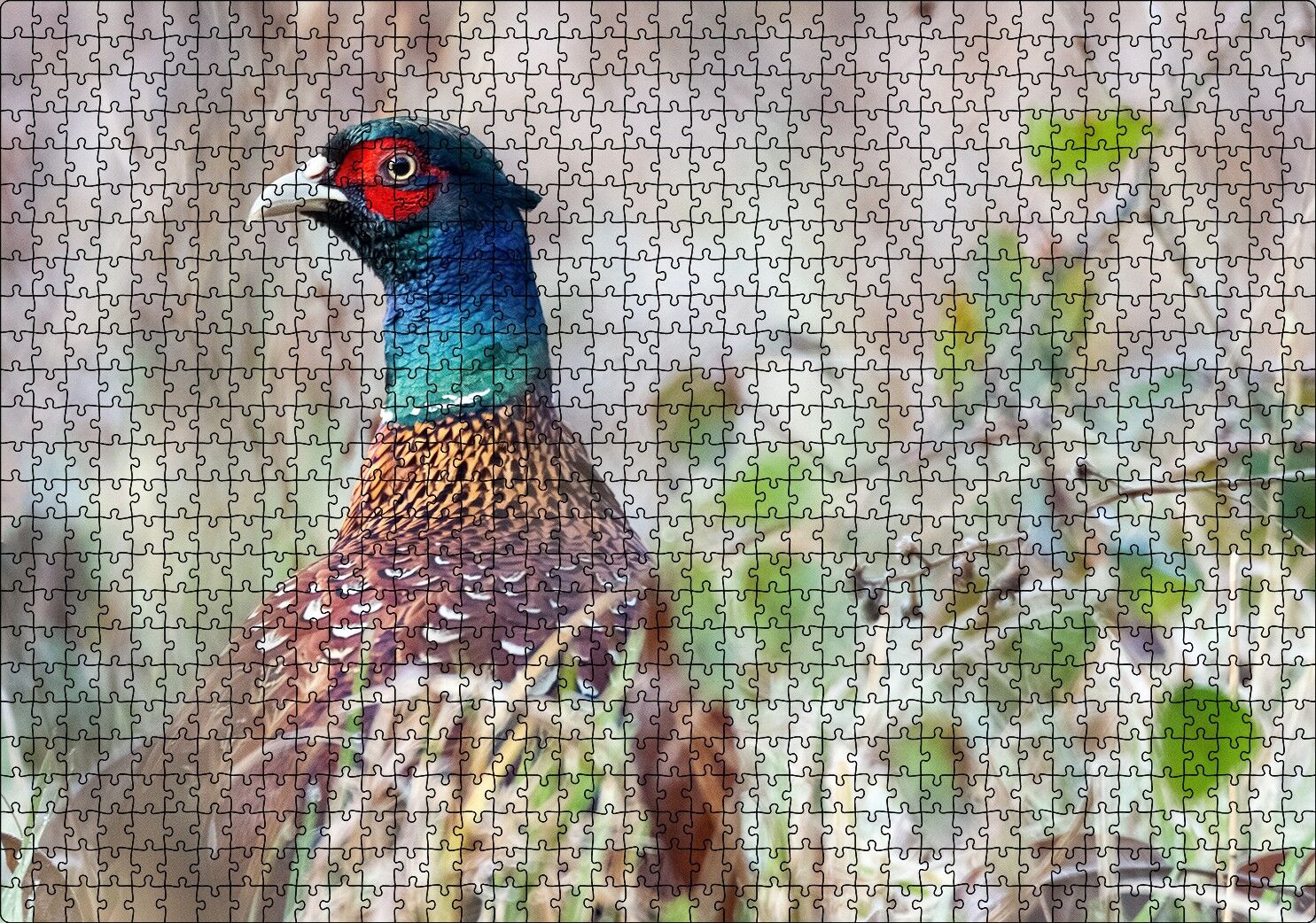 Çalılıklar Arasındaki Sülün Puzzle Yapboz MDF Ahşap 1000 Parça 49 cm X 68 cm