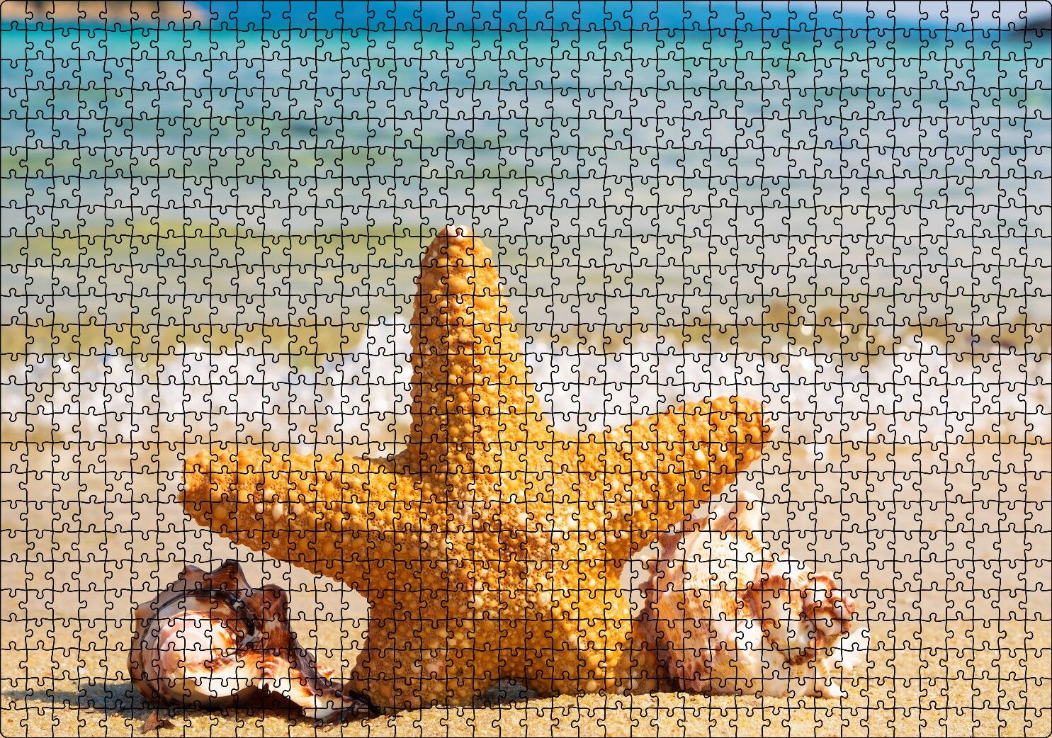 Deniz Yıldızı Deniz Kabukları ve Berrak Kumsal Puzzle Yapboz MDF Ahşap 1000 Parça 49 cm X 68 cm
