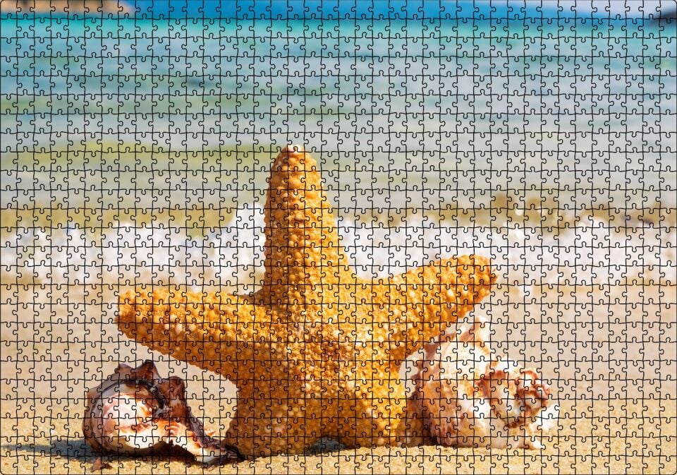 Deniz Yıldızı Deniz Kabukları ve Berrak Kumsal Puzzle Yapboz MDF Ahşap 1000 Parça 49 cm X 68 cm