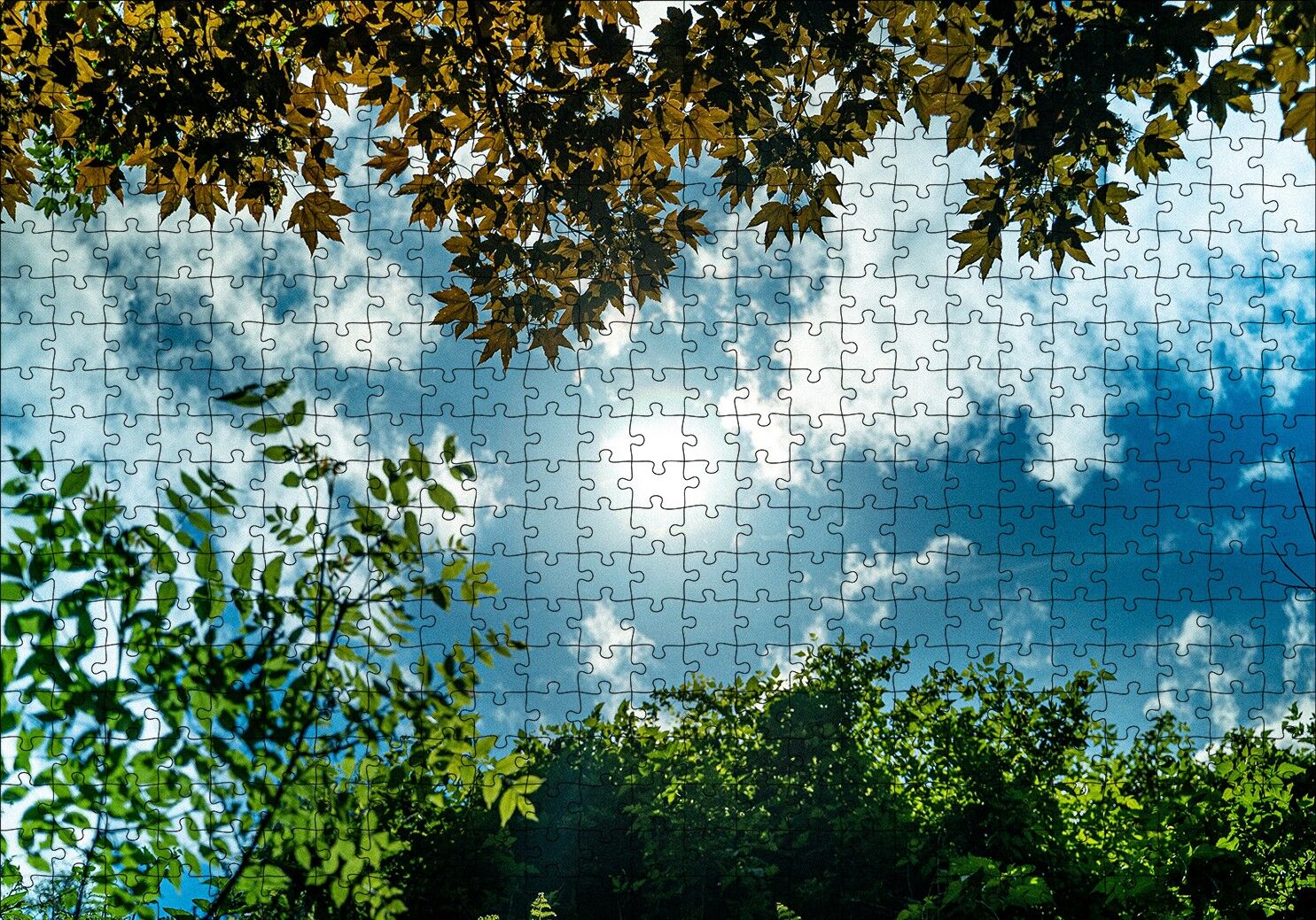 Sarı ve Yeşil Yapraklar Arasından Gökyüzü Puzzle Yapboz MDF Ahşap 500 Parça 49 cm X 68 cm