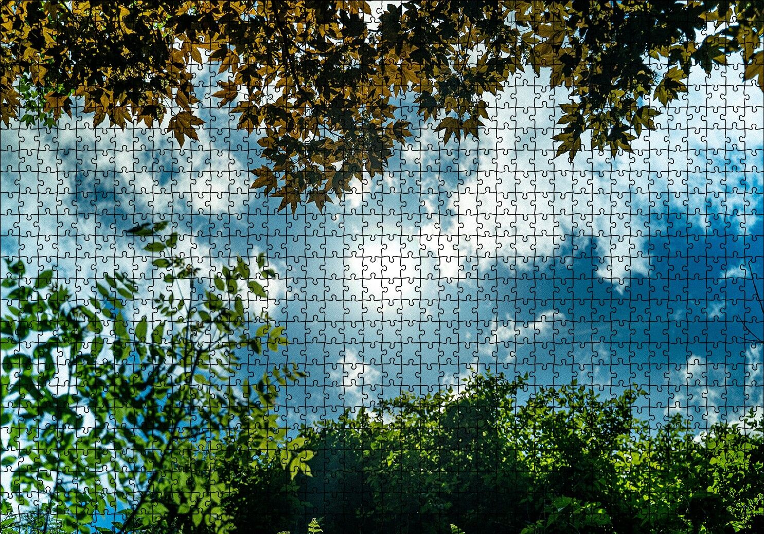 Sarı ve Yeşil Yapraklar Arasından Gökyüzü Puzzle Yapboz MDF Ahşap 1000 Parça 49 cm X 68 cm