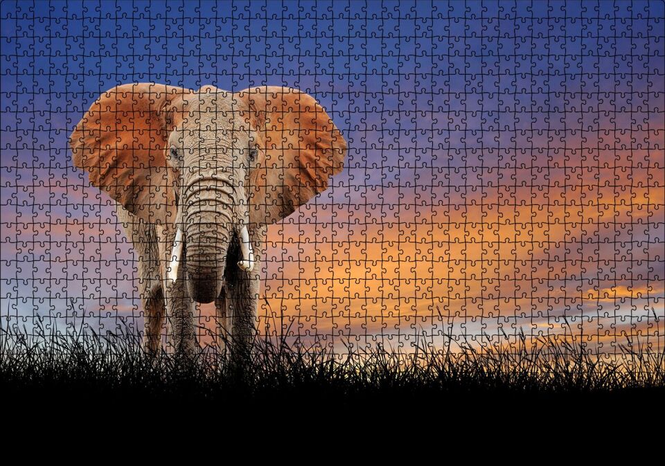 Çayırdaki Yetişkin Fil ve Kızıl Gökler Puzzle Yapboz MDF Ahşap 1000 Parça 49 cm X 68 cm