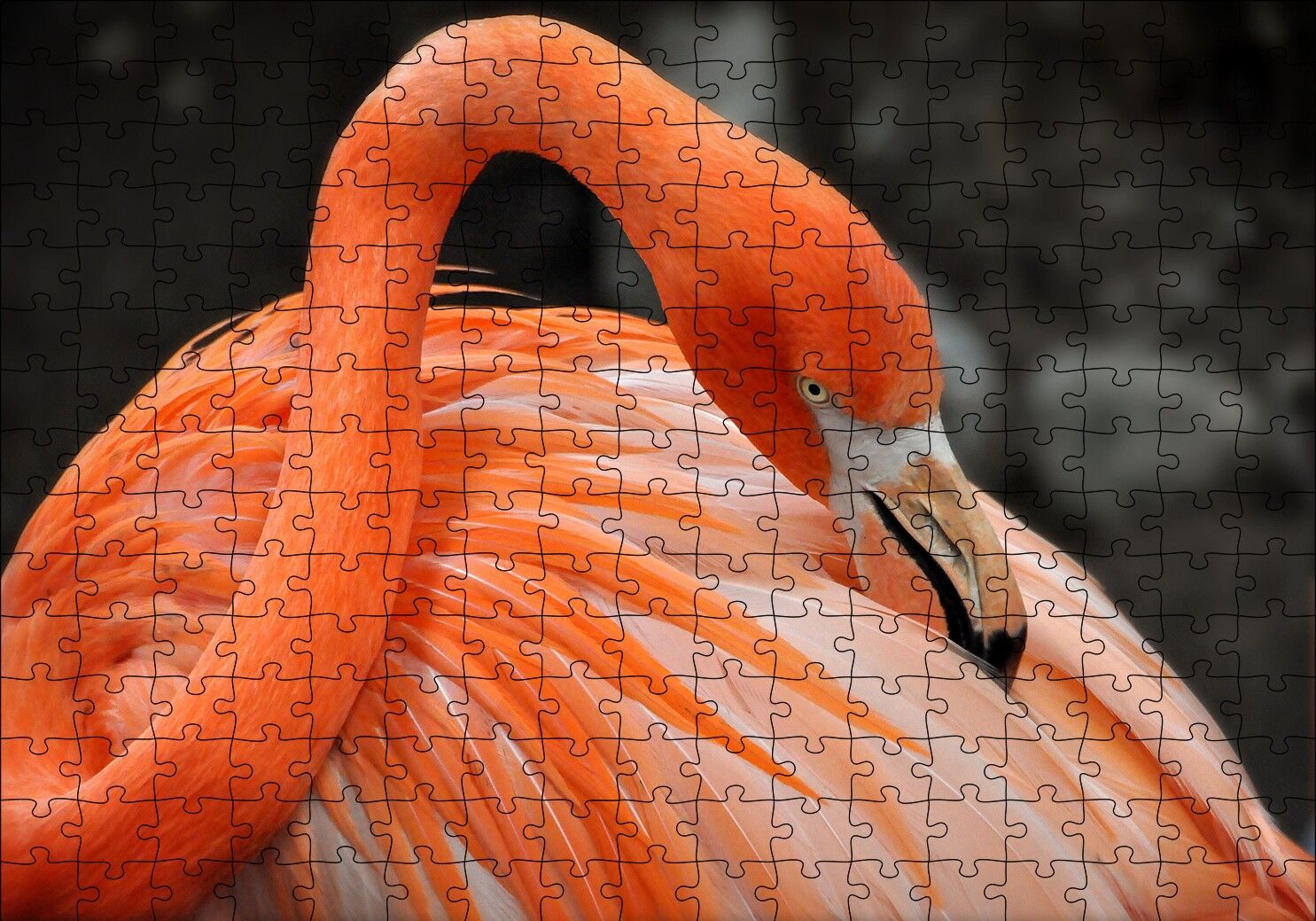 Turuncu Flamingo Puzzle Yapboz MDF Ahşap 255 Parça 34 cm X 49 cm
