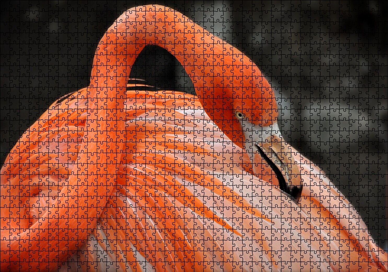 Turuncu Flamingo Puzzle Yapboz MDF Ahşap 1000 Parça 49 cm X 68 cm