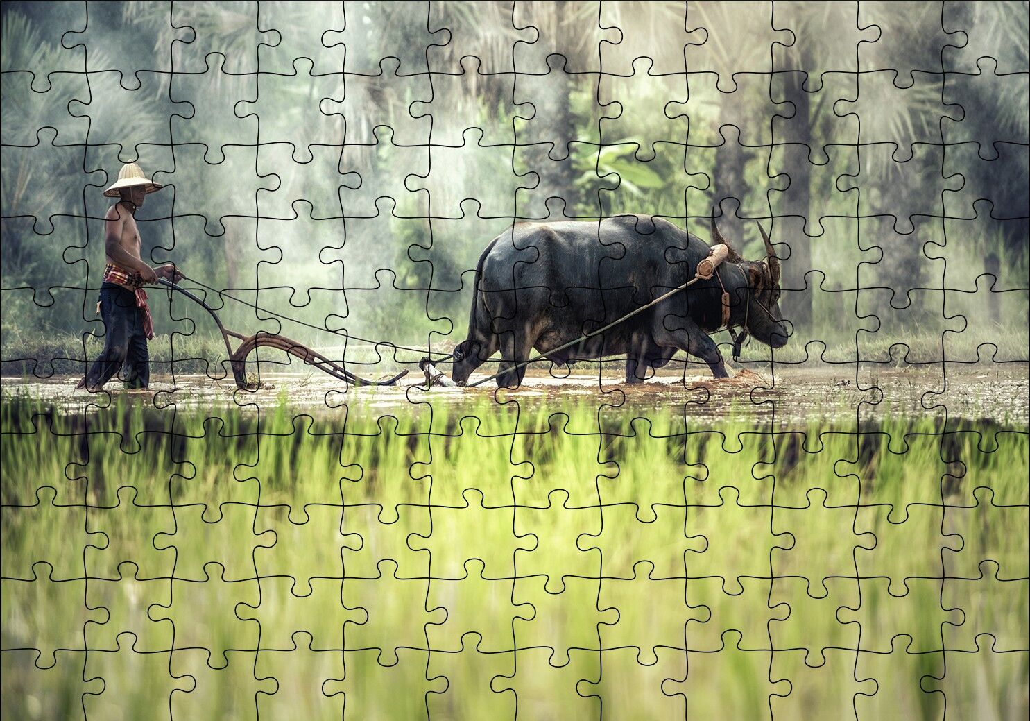 Pirinç Tarlası Süren Vietnamlı Puzzle Yapboz MDF Ahşap