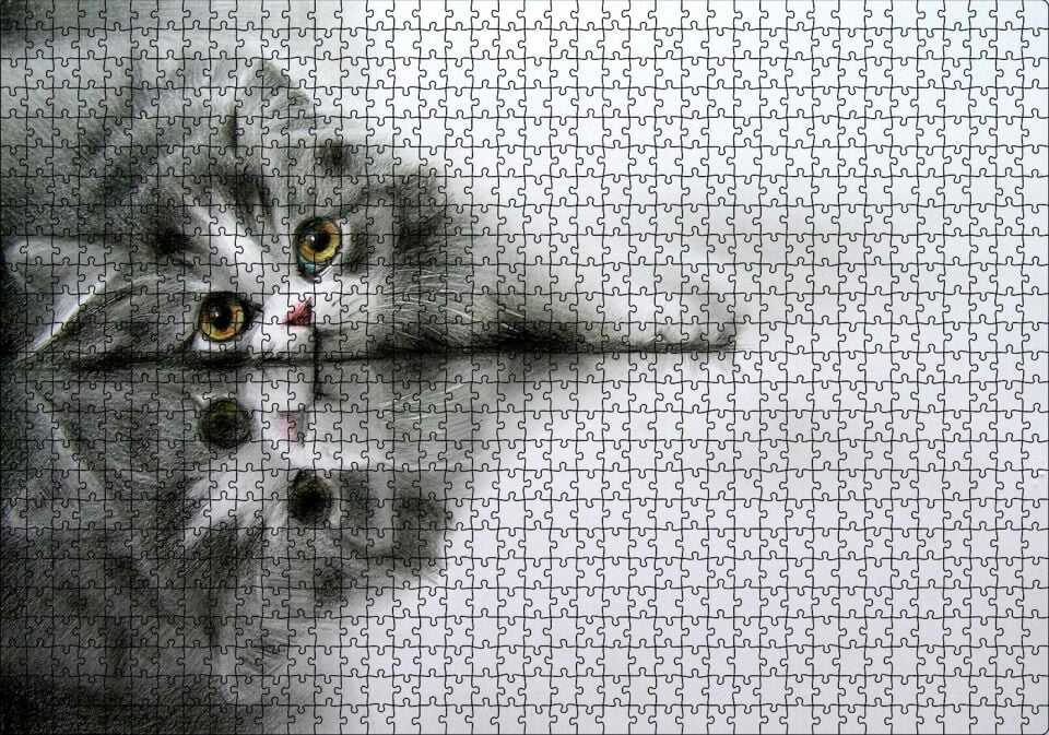 Cam Zeminde Sevimli Yavru Kedi Çizim Puzzle Yapboz MDF Ahşap 1000 Parça 49 cm X 68 cm