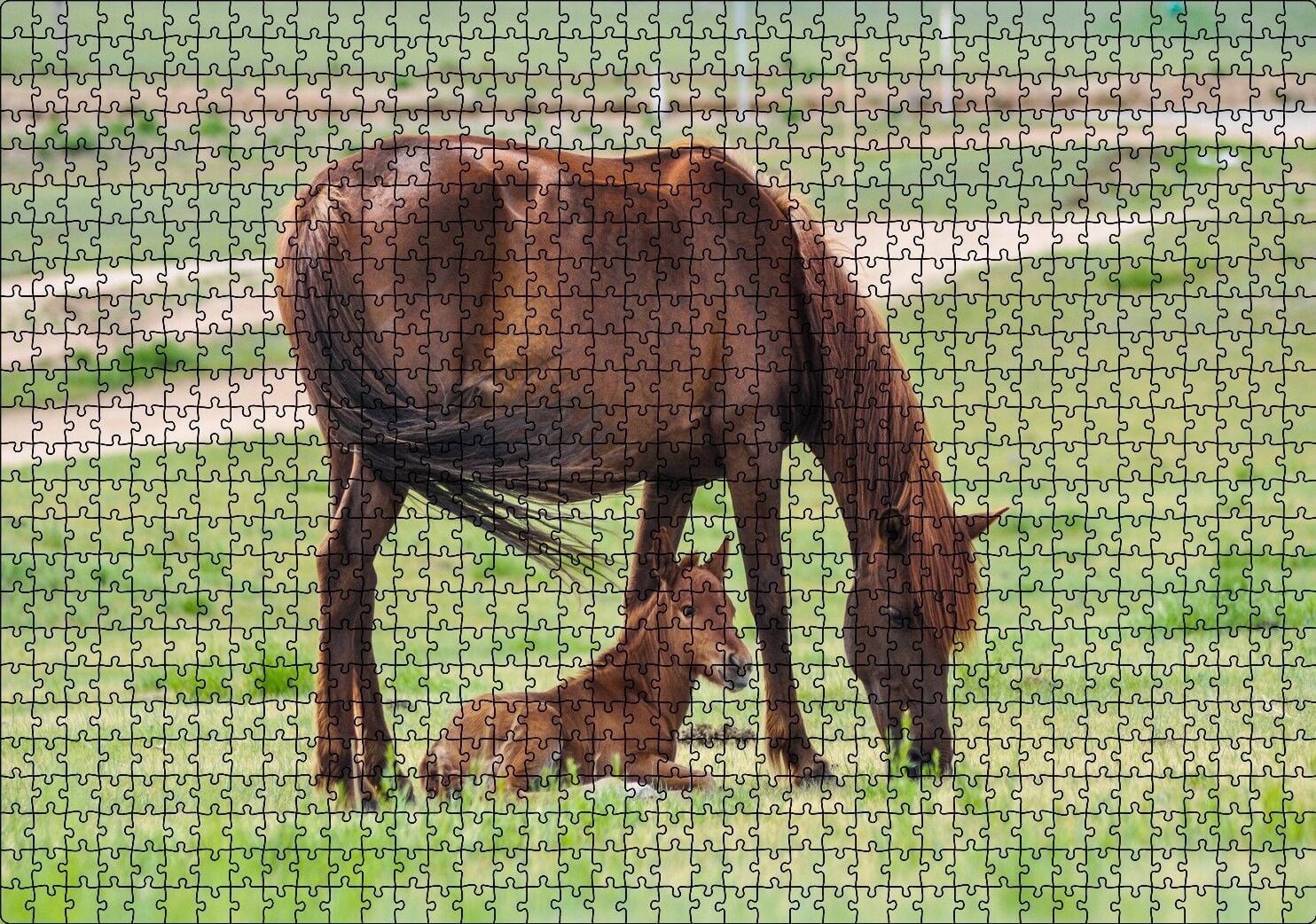 Çayırda Kahverengi Anne At ve Sevimli Tayı Puzzle Yapboz MDF Ahşap 1000 Parça 49 cm X 68 cm