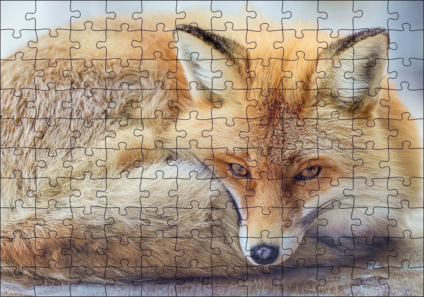 Kahverengi Tilki Kendine Sokulmuş Dinleniyor Puzzle Yapboz MDF Ahşap