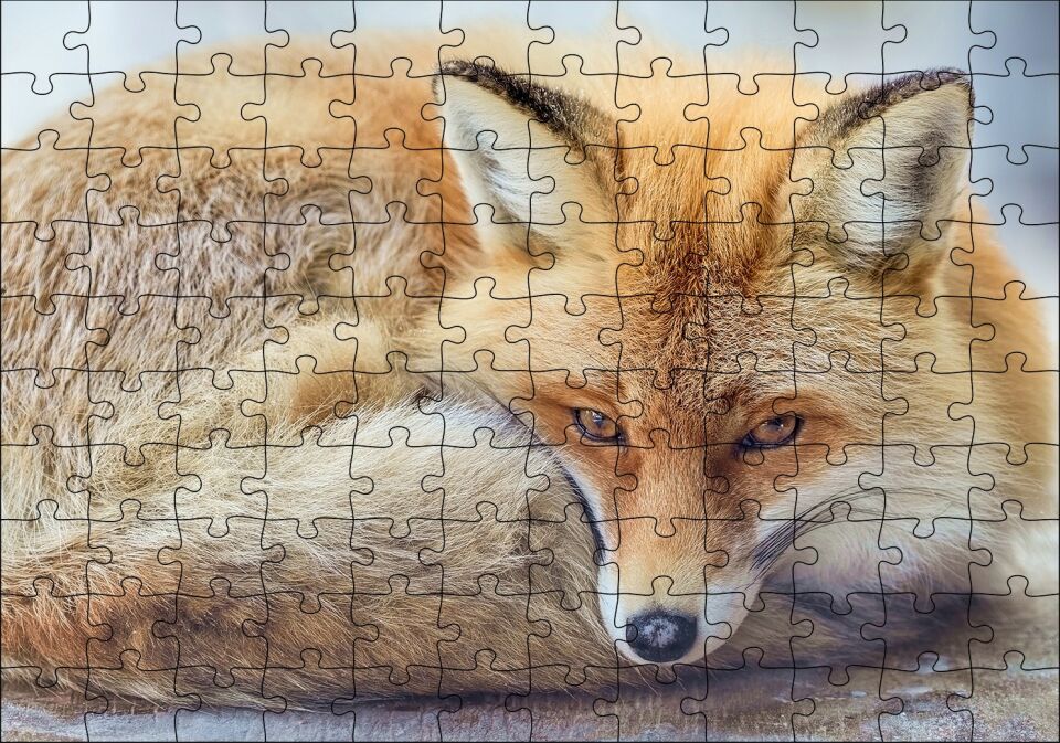 Kahverengi Tilki Kendine Sokulmuş Dinleniyor Puzzle Yapboz MDF Ahşap