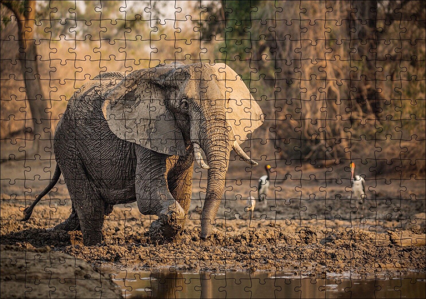 Çamur Banyosu Yapan Fil ve Arkada Leylekler Puzzle Yapboz MDF Ahşap 255 Parça 34 cm X 49 cm
