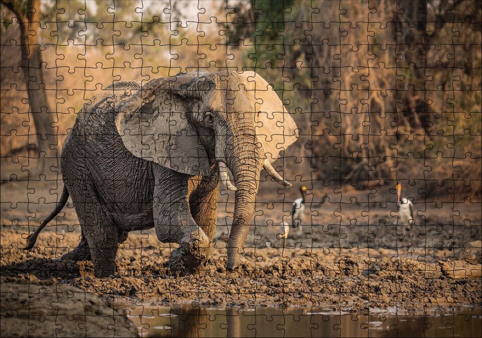 Çamur Banyosu Yapan Fil ve Arkada Leylekler Puzzle Yapboz MDF Ahşap 255 Parça 34 cm X 49 cm