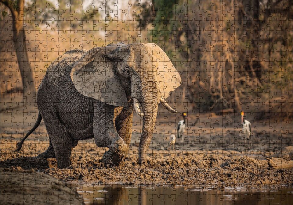 Çamur Banyosu Yapan Fil ve Arkada Leylekler Puzzle Yapboz MDF Ahşap 500 Parça 49 cm X 68 cm
