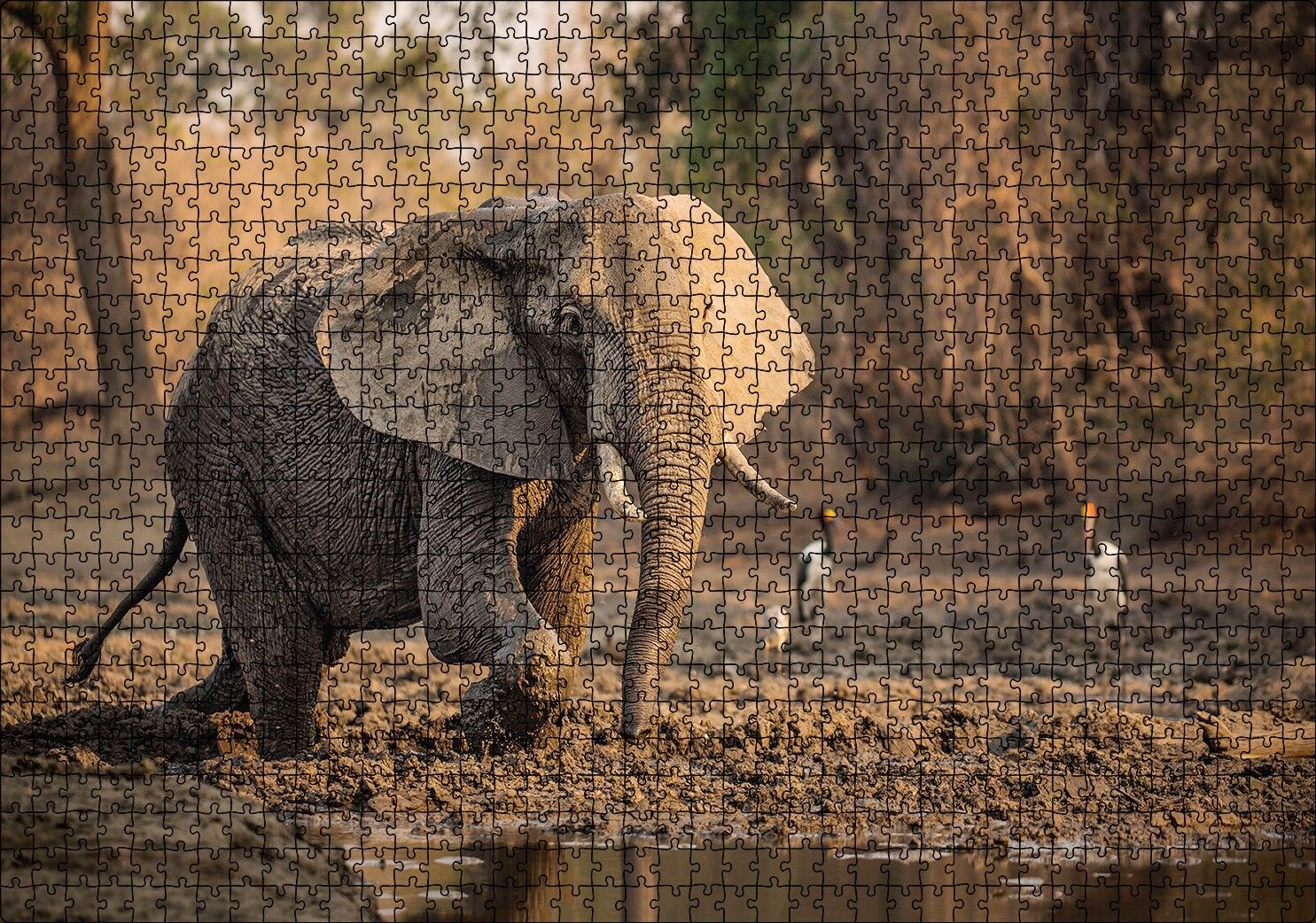 Çamur Banyosu Yapan Fil ve Arkada Leylekler Puzzle Yapboz MDF Ahşap 1000 Parça 49 cm X 68 cm