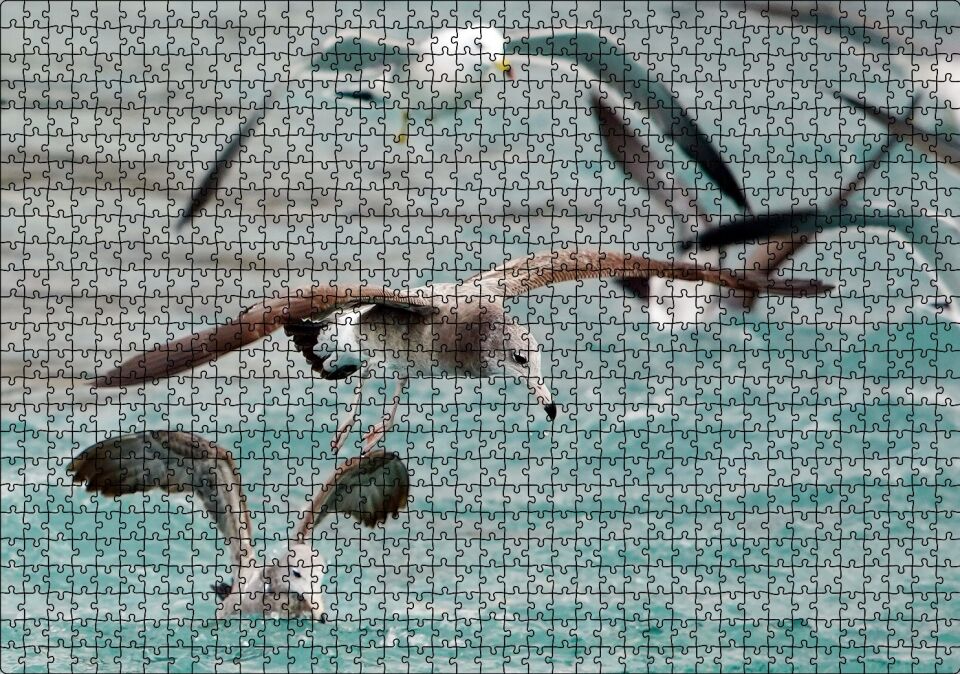 Martılar ve Dalgalı Deniz Arka Plan Puzzle Yapboz MDF Ahşap 1000 Parça 49 cm X 68 cm