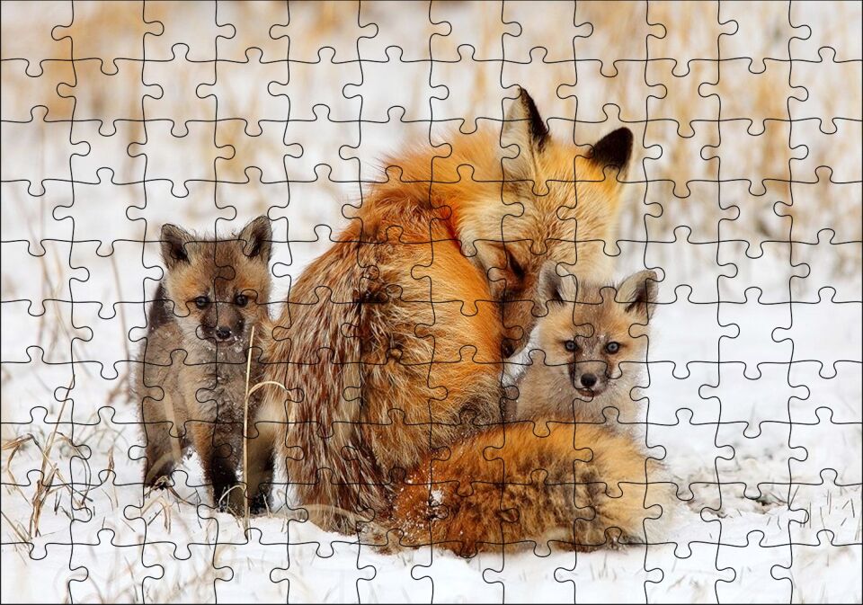 Karlar Üzerindeki Kızıl Tilki ve Yavruları Puzzle Yapboz MDF Ahşap