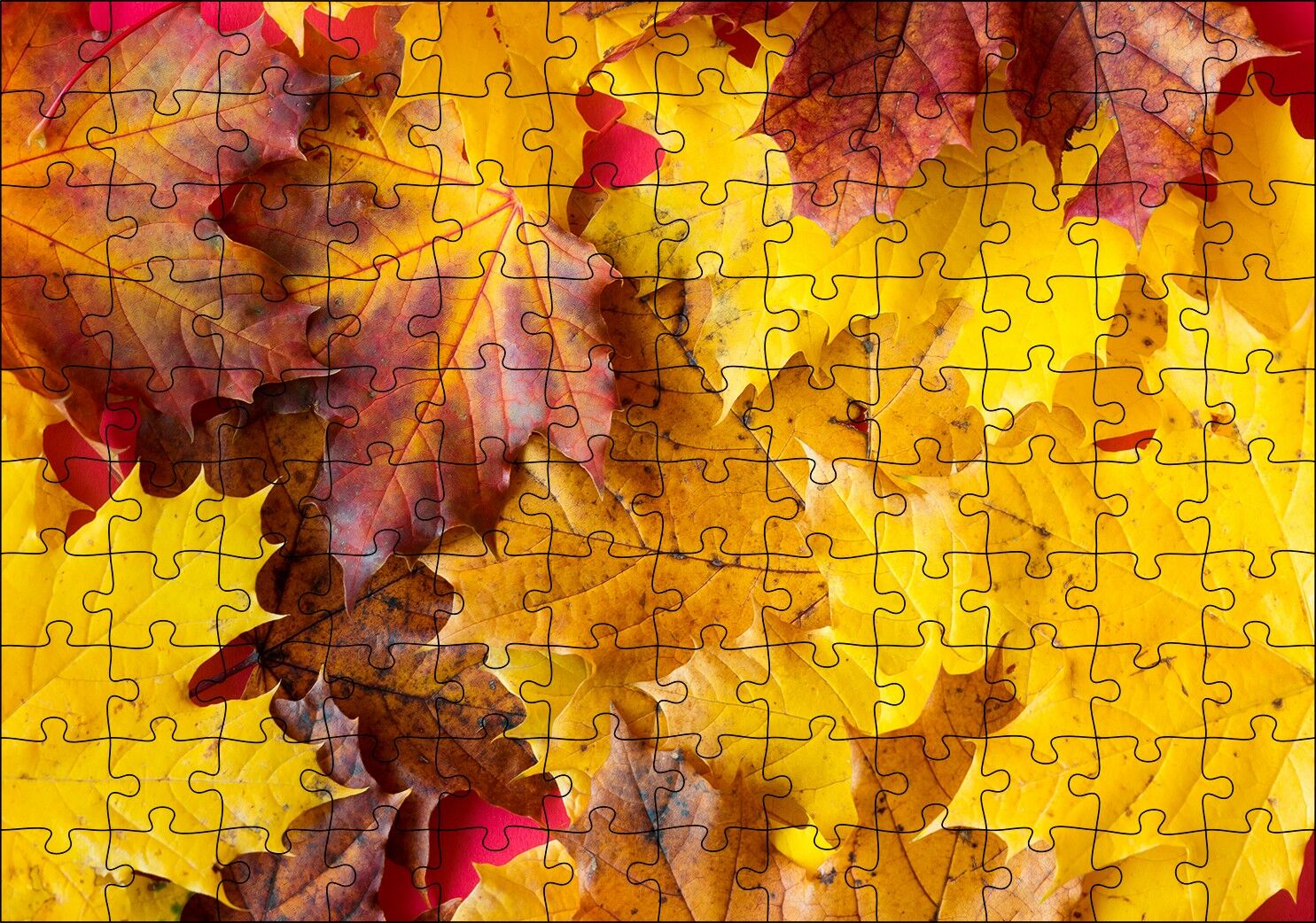ları Dökülmüş Sonbahar Yaprakları Yakın Çekim Puzzle Yapboz MDF Ahşap