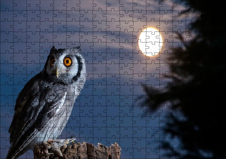 Dolunay ve Kütüğün Üzerindeki Baykuş Puzzle Yapboz MDF Ahşap 255 Parça 34 cm X 49 cm