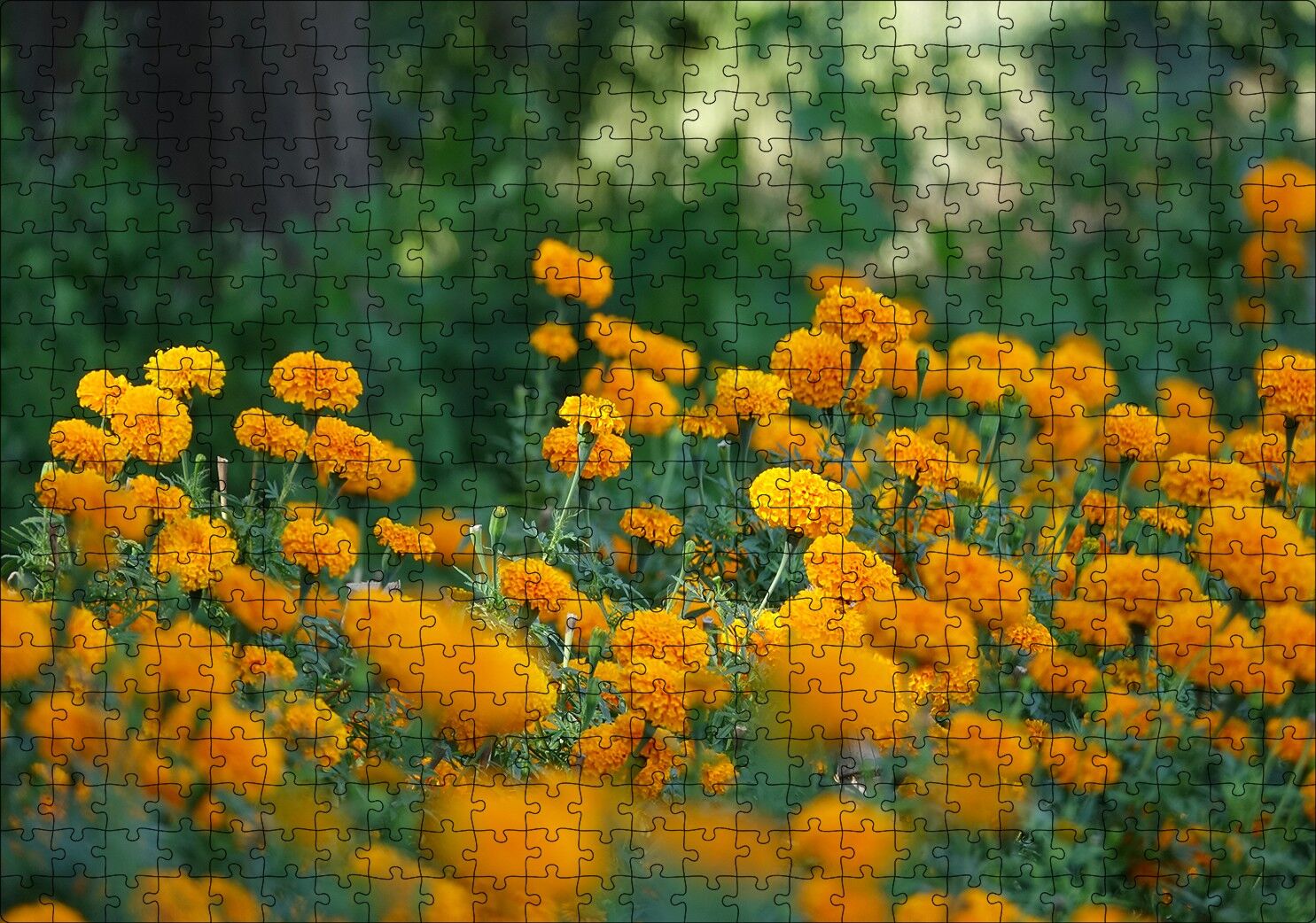 Sarı Çiçekli Çalılar Görseli Puzzle Yapboz MDF Ahşap 500 Parça 49 cm X 68 cm