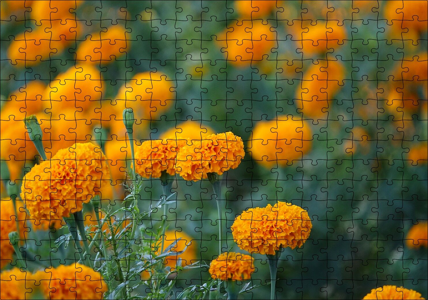 Sarı Karanfiller Görseli Puzzle Yapboz MDF Ahşap 255 Parça 34 cm X 49 cm