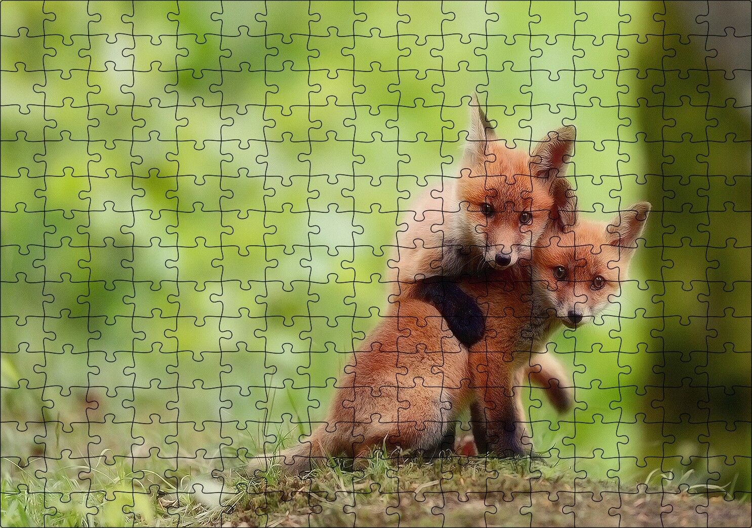 Çayırda Birbiriyle Oynayan Yavru Tilkiler Puzzle Yapboz MDF Ahşap 255 Parça 34 cm X 49 cm